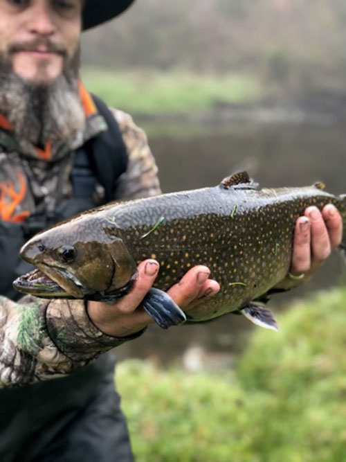 Guided Fly Fishing